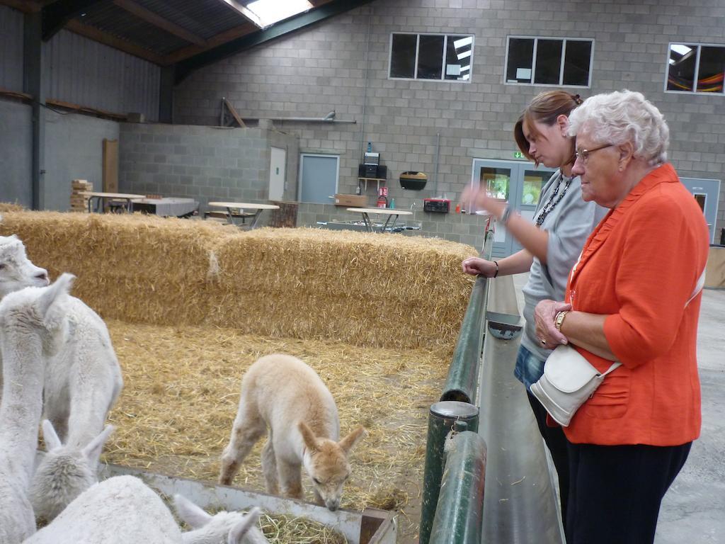 BocholtDe Alpacaboerderijアパートメント エクステリア 写真